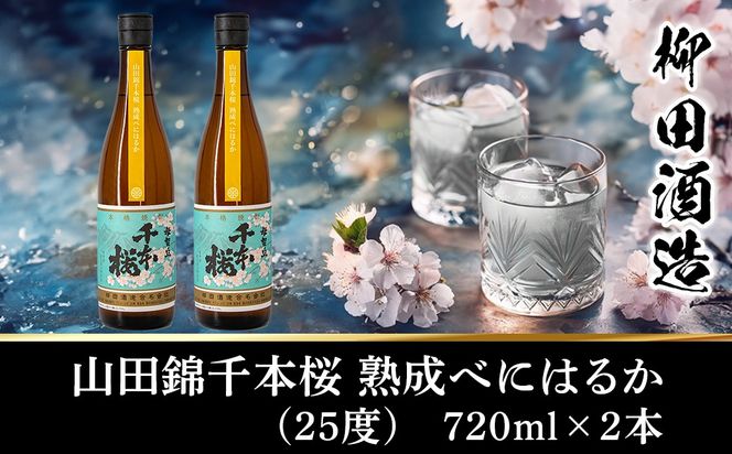 【柳田酒造】山田錦千本桜 熟成べにはるか(25度)720ml×2本 ≪みやこんじょ特急便≫_AA-0750_99