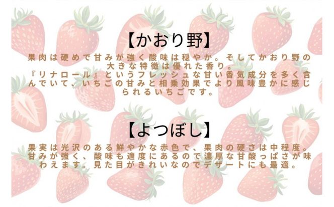 先行予約・数量限定！ 採れたて完熟いちご【かおり野・よつぼし・ベリーポップすず・恋みのり】 9粒～20粒×2箱 232238_CK01-PR