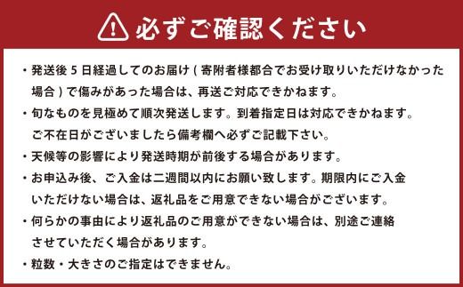 あまおう 約2280g 約285g×8パック いちごファームきらら 冷蔵【ふくおかエコ農産物認証】【2025年2月下旬から3月下旬発送予定】