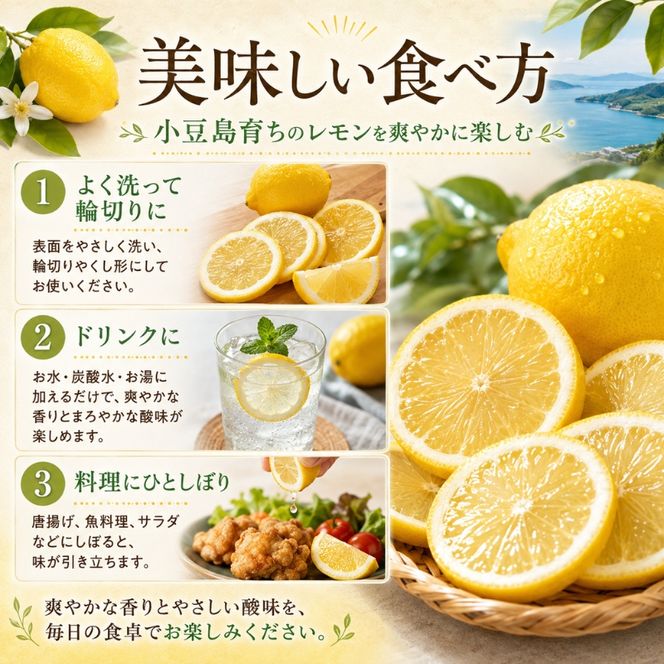 レモン 小豆島 瀬戸内 約3kg 15～30玉 小豆島育ち 島育ち まろやか 酸味 潮風 ミネラル 国産レモン 檸檬 柑橘 柑橘類 果物 フルーツ くだもの 果物類 果実 生鮮 レモネード レモンティー はちみつレモン ギフト 贈答用 五色青果 香川 土庄 香川県 土庄町