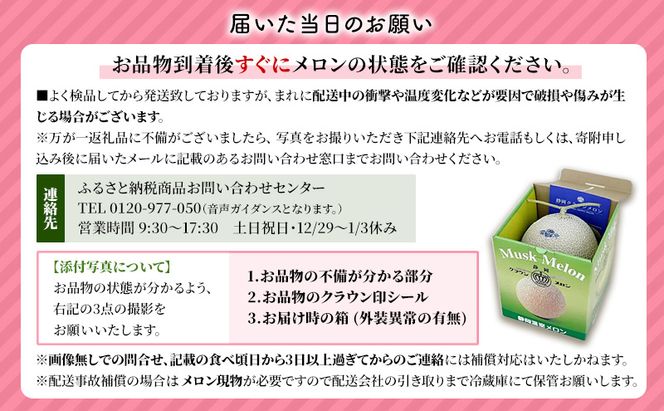 クラウンメロン（白等級）特大玉 １玉入 