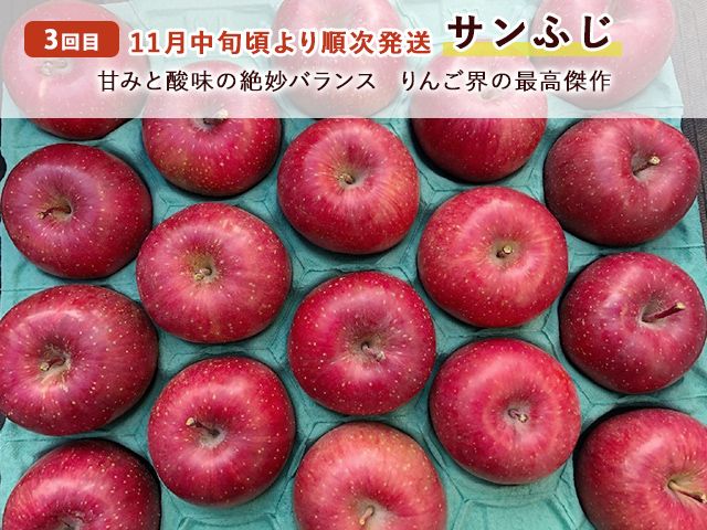 りんご 定期便 3ヶ月 青森 訳あり リンゴ 3種 サンつがる 紅玉 サンふじ 約5kg (18～20玉) 3回 たわわ農園 フルーツ 果物 定期 9月・10月・11月発送予定 ※オンライン決済限定
