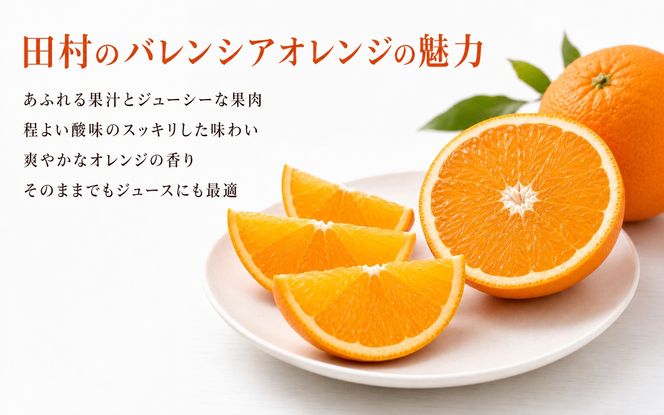 秀品　田村のバレンシアオレンジ　約7kg　※2027年6月下旬頃～7月上旬頃 順次発送予定【uot872】