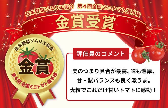 G3702 【先行予約】こだわり ミニトマト 4パック 合計 約1kg【選手権 金賞受賞 日本野菜ソムリエ協会 新鮮 野菜 泉佐野産 とまと やさい 高評価 数量限定】