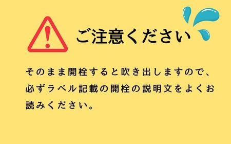 自然の泡に癒される,シュワシュワ日本酒！ 北光正宗・純米生スパークリング（S-1.2）