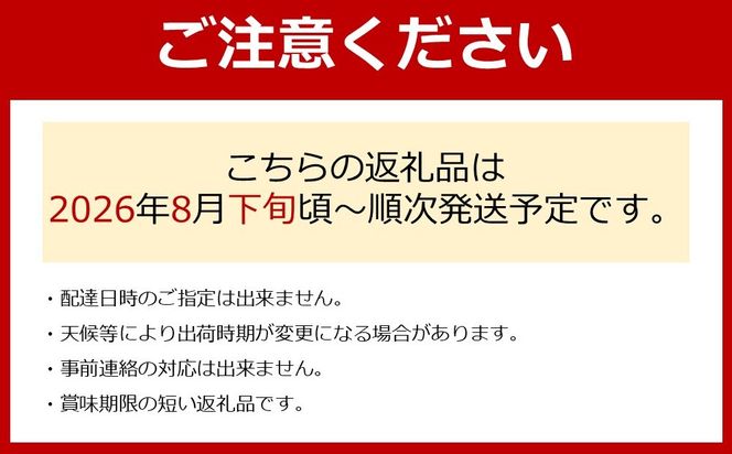 ［先行予約］シャインマスカット 約2kg  (3房～5房) 有田巨峰村 【朝採 新鮮】■2026年発送■※8月下旬頃から9月下旬頃まで順次発送予定 BZ025