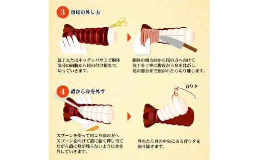 【先行予約】10月直送便 土佐獲れ 活伊勢海老 約700g（２尾～４尾） 天然 エビ　えび 伊勢エビ 海鮮 お刺身 刺し身 丸焼き しゃぶしゃぶ 故郷納税 ふるさとのうぜい 返礼品【株式会社とさもん】 [BQAE103]
