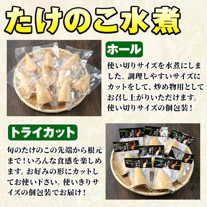 たけのこ美味だより(6種)国産 加工品 惣菜 弁当 おかず 筍水煮 たけのこご飯の素 簡単調理 贈答 ギフト プレゼント【上野食品】akn008-03