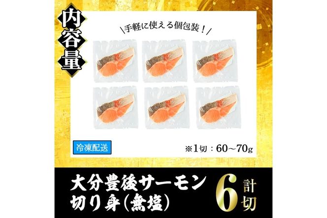 大分豊後サーモン 切り身(計6切) 魚 鮮魚 切身 無塩 冷凍 佐伯 養殖 国産 個包装 大分県 佐伯市【EA28】【(株)トーワ】