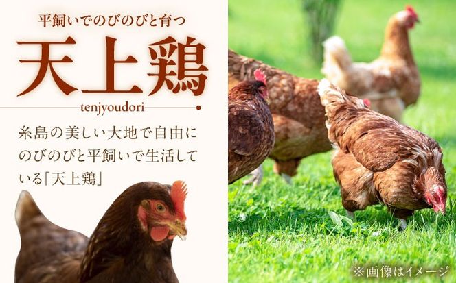 キミとプリン カスタード ◆ 6個 セット ◆ 《糸島市》【株式会社おおはまファーム】 [AKH013] プリン 天上卵 UOVO