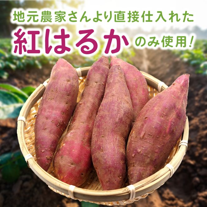 さつまいもジャーキー　約100g　for dogs｜茨城県 行方市 ふるさと納税 さつまいも ペットフード おやつ　犬用 動物用食品 無添加 無着色 ドッグフード（HZ-1）