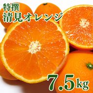 特撰　清見オレンジ 7.5kg+200g(補償分)【2027年2月下旬～5月上旬頃に順次発送予定】【ard262】