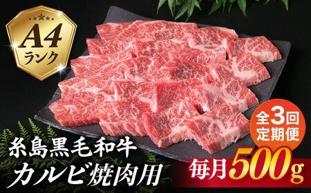 [全3回定期便][焼肉用]A4ランク 糸島 黒毛和牛 カルビ 500g 糸島市 / 糸島ミートデリ工房 [ACA293] 博多 和牛 焼肉 焼き肉 バーベキュー BBQ 赤身 国産 キャンプ アウトドア