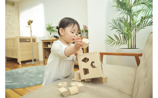国産檜 IKONIH／アイコニー ドロップボックス 子ども おもちゃ 303446_DS90024