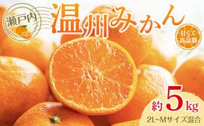 瀬戸内温州みかん（2L～Mサイズ混合）約5kg【2025年10月中旬～2026年1月下旬配送】 372013_T006-778J