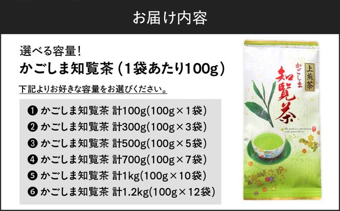 ＜選べる＞かごしま知覧茶 100g×1袋～12袋　K346-001_SKU