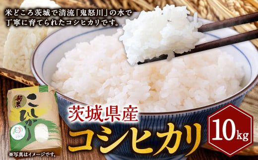 令和8年産コシヒカリ 10kg | 米 お米 こめ おこめ 茨城県産 精米 白米 茨城県 守谷市 送料無料