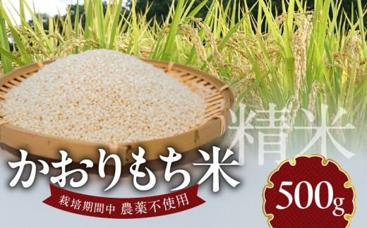 y{茧sz 500g N0182-YA0476