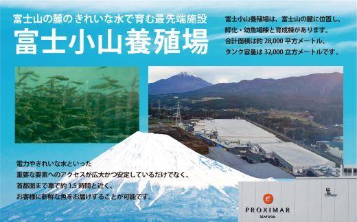 日本初 完全陸上養殖 静岡県小山町産 アトランティックサーモン 冷凍 アラ4パック 約1kg