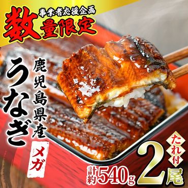 【0174318a】＜数量限定＞＜メガサイズ＞「養鰻業者応援」うなぎ蒲焼き(無頭)(2尾・計約540g・タレ、山椒付) うなぎ 高級 ウナギ 鰻 国産 蒲焼 蒲焼き たれ 鹿児島 ふるさと 人気【アクアおおすみ】