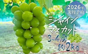  【ふるさと納税】【2026年先行予約】山梨県産 シャインマスカット 3～4房（約2.0kg）｜大粒 高糖度 種なし 甘い ぶどう 葡萄 フルーツ 果物 産地直送 贈答用 送料無料 JX004
