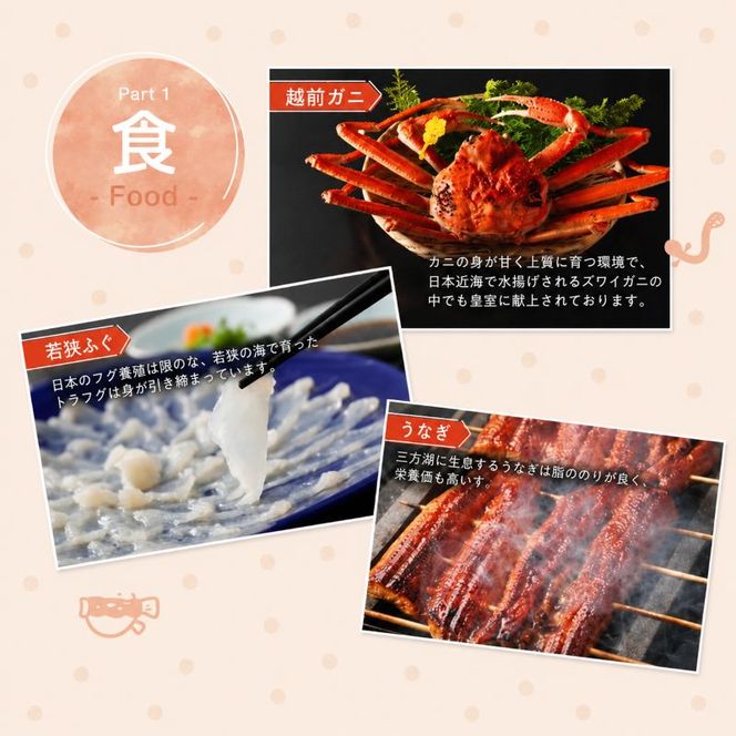 旅行 若狭町 プレミアム宿泊利用券 6000円分 1枚 宿泊補助券 福井県 福井 チケット 宿泊券 旅行券 宿泊 旅館 ホテル 6千円 福井県若狭町 