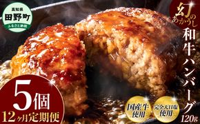 幻のあかうし和牛ハンバーグ 5個入り 12ヶ月定期便 1個120g 田野屋青蜂 白鯆 完全天日塩練り込み 肉 お肉 国産牛 土佐あかうし 四万十ポーク おかず 惣菜 おいしい お取り寄せ 冷凍 配送 高知県 田野町