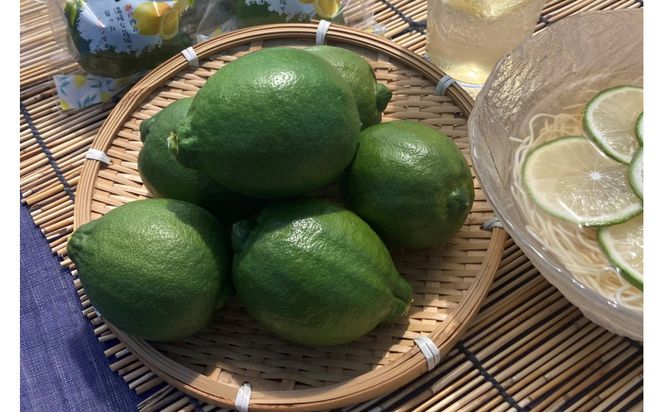 SANUKIFROZEN 璃の香 500g×4袋 372013_KF027