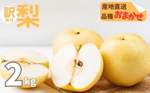 [訳あり]品種おまかせ梨2kg(5から8個)親水 幸水 豊水 菊水 旬の梨 大小混合 訳あり ワケアリ 10000 高知県 室戸市