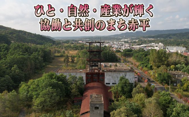赤平長持ち胡蝶蘭ピンクミディ3株3本立て  胡蝶蘭 花 ギフト プレゼント お祝い 贈り物  インテリア 植物 