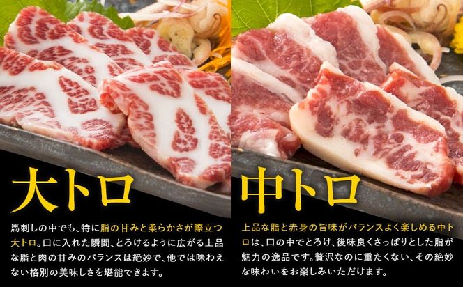 大トロ 中トロ 馬刺し 各300g 食べ比べ 計600g (専用醤油付き150ml×1本) 桜屋 《30日以内に出荷予定(土日祝除く)》 熊本県 長洲町 送料無料 肉 馬肉 馬さし ---sn_fskotct_30d_25_70000_600g---
