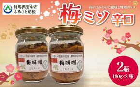 梅ミソ（辛口）ANBN003