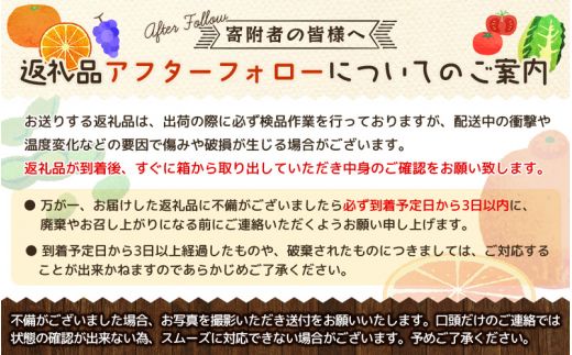 【先行予約】秀品 きよみ 清美オレンジ 和歌山 有田 S～2Lサイズ 大きさお任せ 3kg【2月上旬～3月下旬頃に順次発送】/ みかん フルーツ 果物 くだもの 蜜柑 柑橘【ktn039】