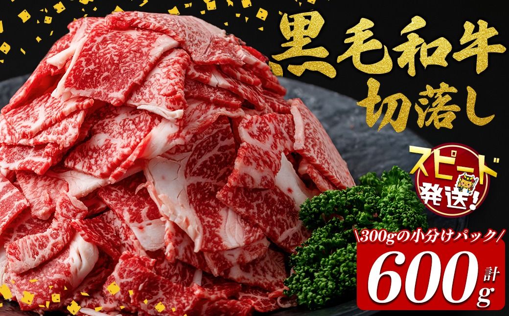 [10営業日以内に発送]国産黒毛和牛切落し計600g(300g×2P) a0-374-10d