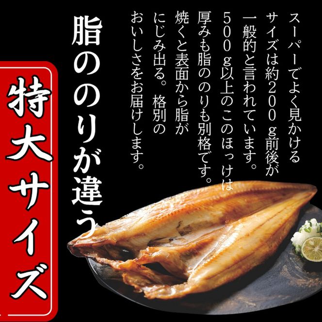 15-274 【紋別産】船上活〆ほっけの開き一夜干し【2枚入】【数量限定】