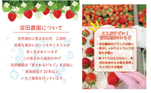 ＜すずあかね 2パックセット＞ 北海道 道産 夏いちご すずあかね