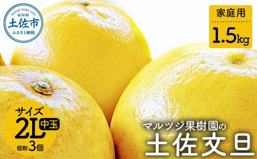 マルツジ果樹園の土佐文旦 家庭用(中玉) 約1.5kg 1.5キロ 2Lサイズ 3個入り ぶんたん ブンタン フルーツ 柑橘 みかん 果物 くだもの 柑橘類 デザート ご自宅用 ご家庭用 お取り寄せ 国産