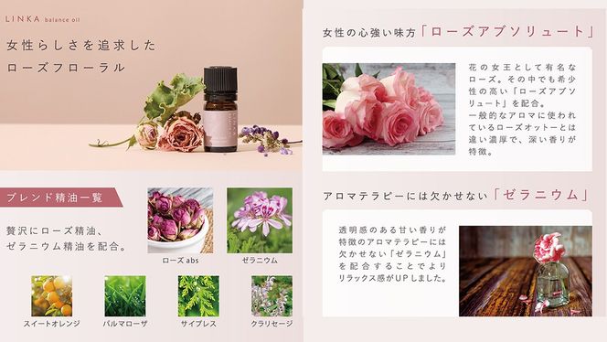 LINKA イオン フェイス スチーマー ＋ アロマオイル 2種セット 美顔器 美容 リンカ アロマ 癒し リラックス エステ ディフューザー [EV21-NT]