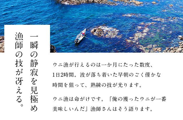 北海道礼文島産 旬凍エゾバフンウニ80g×1 魚貝類 雲丹 氷結 うに 