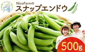 【先行予約：2026年6月上旬頃より発送】甘くてシャキシャキ！ おやつ感覚で食べられる スナップエンドウ 500g えんどう豆 夏野菜 おつまみ お弁当 旬の野菜 産地直送 NicoFarm_Y124-0047
