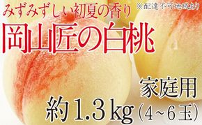 もも 2026年 先行予約 岡山匠の白桃 約1.3kg 4～6玉 犬塚農園 岡山県産 桃 モモ 家庭用 初夏 みずみずしい [№5735-1997]