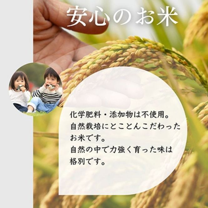 ミルキークイーン いのちの壱 食べ比べ セット 白米 4kg ( 2kg ×2袋) 無農薬 無添加 令和8年産 米 お米 2キロ チャック付 チャック 小分け 少量 少量パック お試し 白米 精米 一等米 産地直送 送料無料 長野