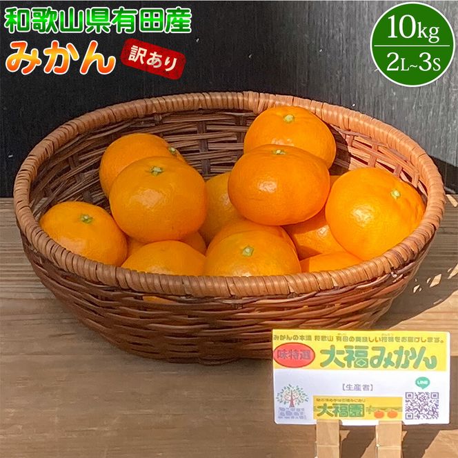 和歌山県有田産 みかん 約10kg 2L～3Sサイズ（おまかせ）【訳あり・家庭用】_BT6008n