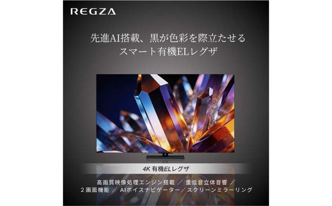 TVS REGZA【標準設置費込み】 有機ELテレビ REGZA レグザ X7 48V型 4K対応 4Kチューナー内蔵 YouTube対応 Bluetooth対応 48X770S 【kw0085-0089-1】