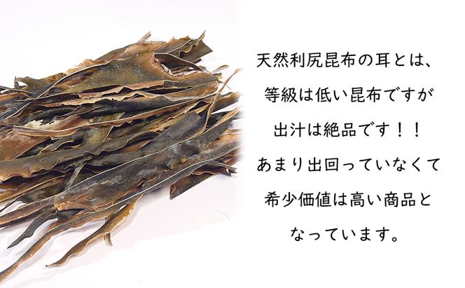 北海道 礼文島 香深産 利尻昆布の耳 100g×10袋［高橋の昆布屋］【 昆布 昆布の耳 だし昆布 出汁こんぶ  利尻昆布 香深産 希少 海藻 和食 旨味 】