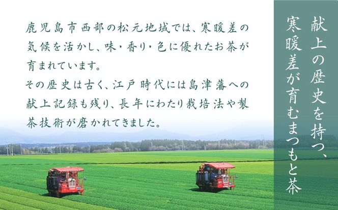 まつもと茶セット　K082-001