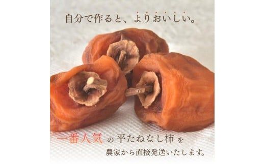 甘さが違う！とっても甘くなる生渋柿（平たねなし柿）吊るし柿用 T字枝or吊るしクリップ付 約2.5～3kg 約9～18個 １０月下旬～順次発送）(日付指定不可) -Ted【art040】