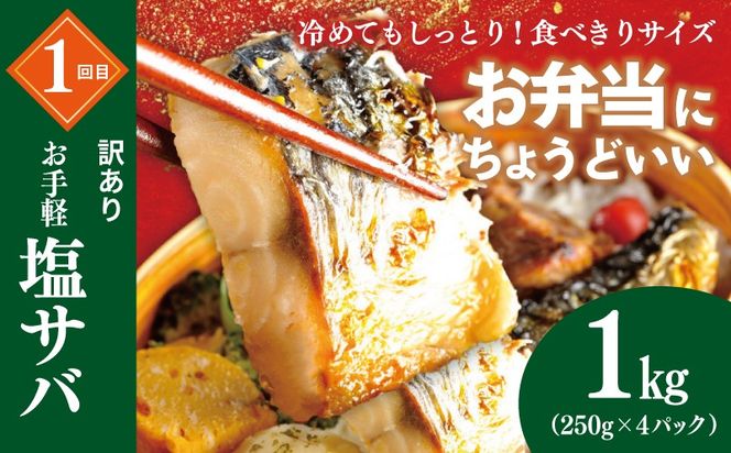 099Z582 【定期便】栄物産のメッチャえ～やん定期便 全4回【サバ 鯖 さば チャーハン 炒飯 つくね 鶏 牛丼 冷凍 惣菜 おかず 弁当 おつまみ 鍋具材】