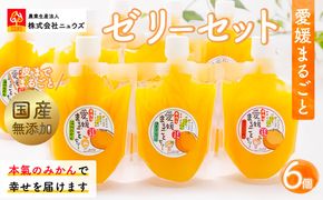 【皮までまるごと国産無添加】愛媛まるごとゼリーセット（6個） IKTF011