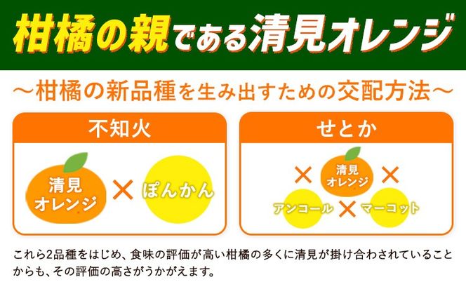 【ご家庭用訳アリ】 紀州有田産清見オレンジ 約5kg 約7.5kg 株式会社魚鶴商店《2026年3月下旬-4月中旬頃出荷》 和歌山県 日高川町 オレンジ 柑橘 ご家庭用 フルーツ---wshg_uot131_3g4c_25_11000_5kg---